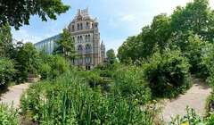 Ближе к природе: Музей естествознания открывает сады для публики